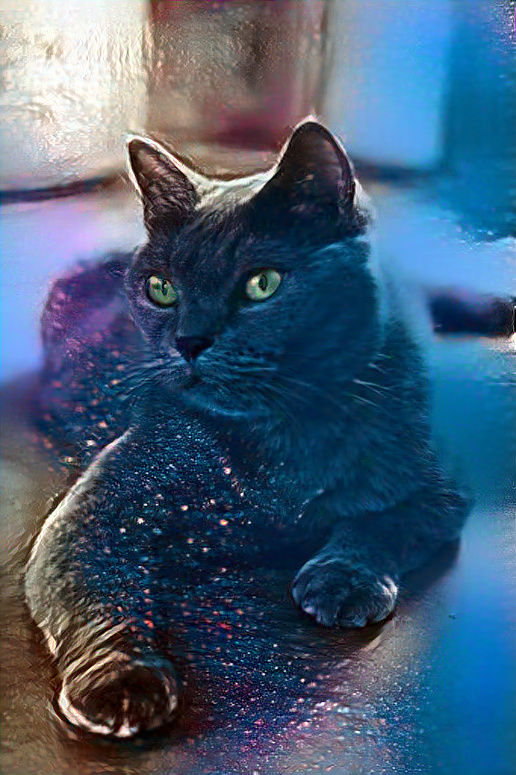 Cosmos Cat