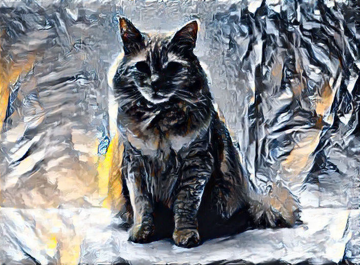 Darknight Cat.
