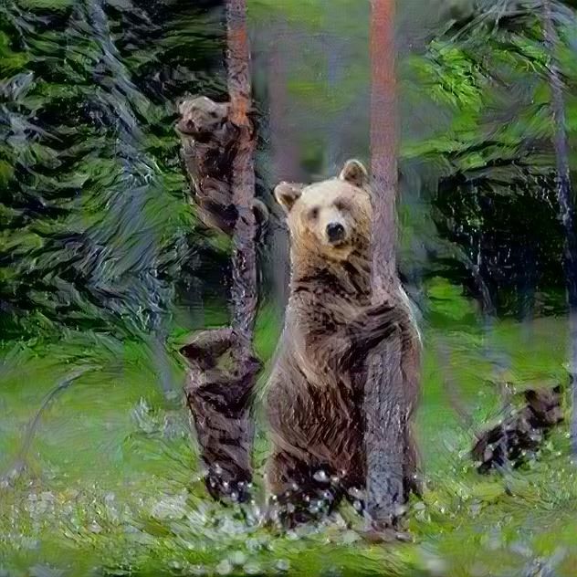 Bears