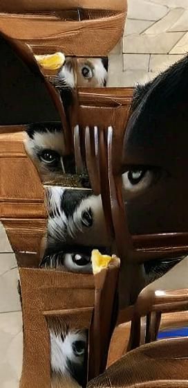 "I see you"