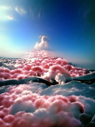 Pink sea of clouds