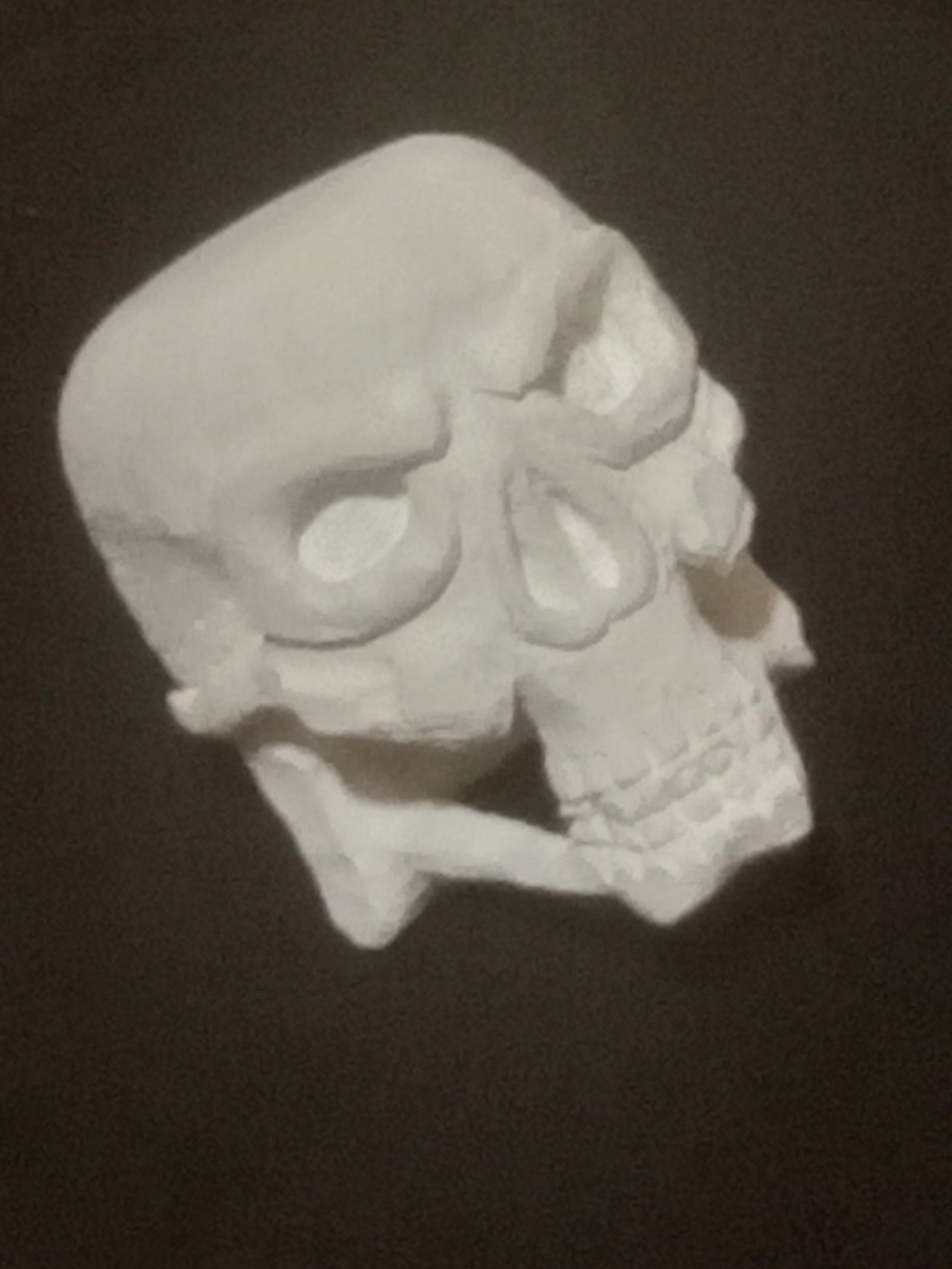 plaster of paris skull
