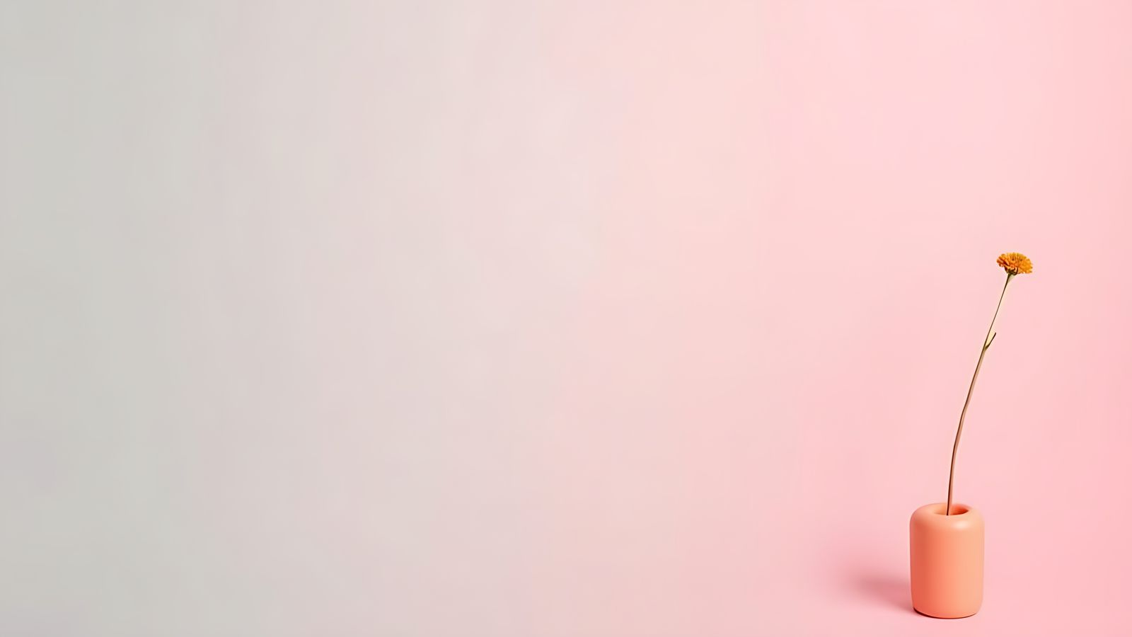 Flower in ceramic vase . . . (abstract studies)