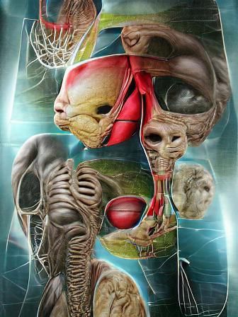 ExtraterrestrialAnatomy