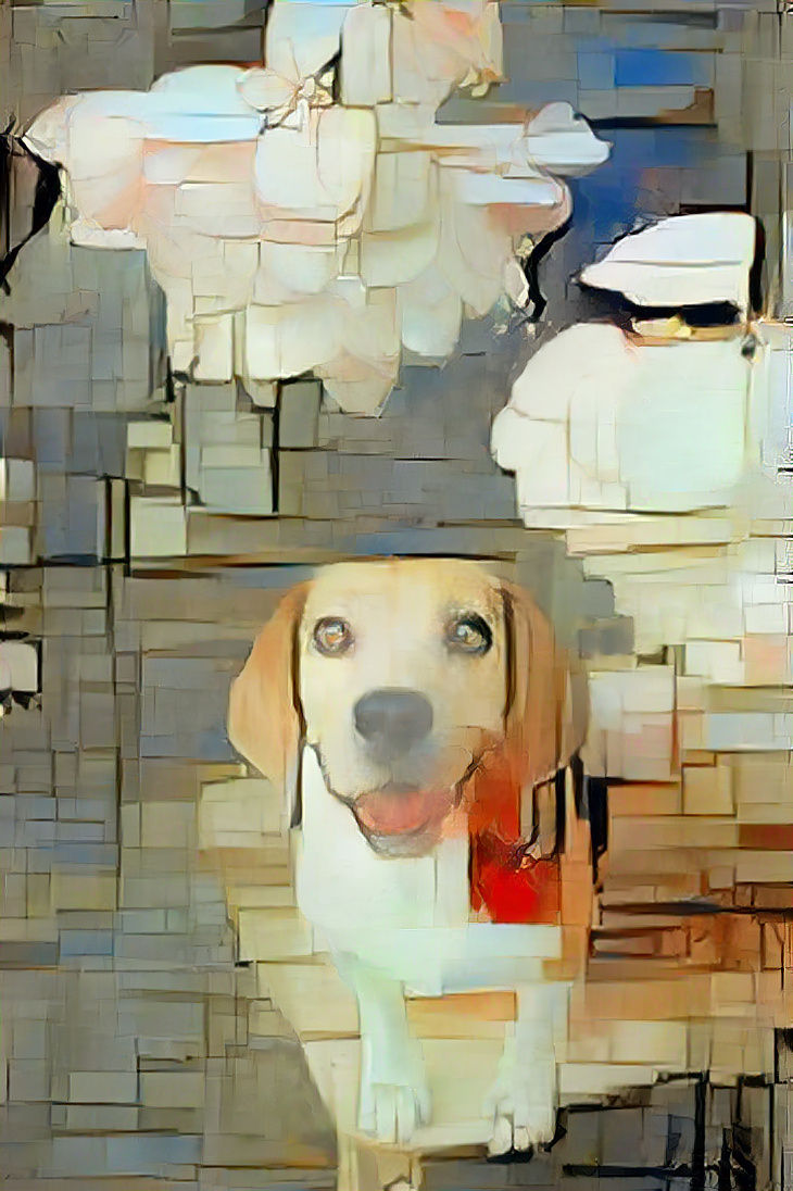 Puppy Mondrian