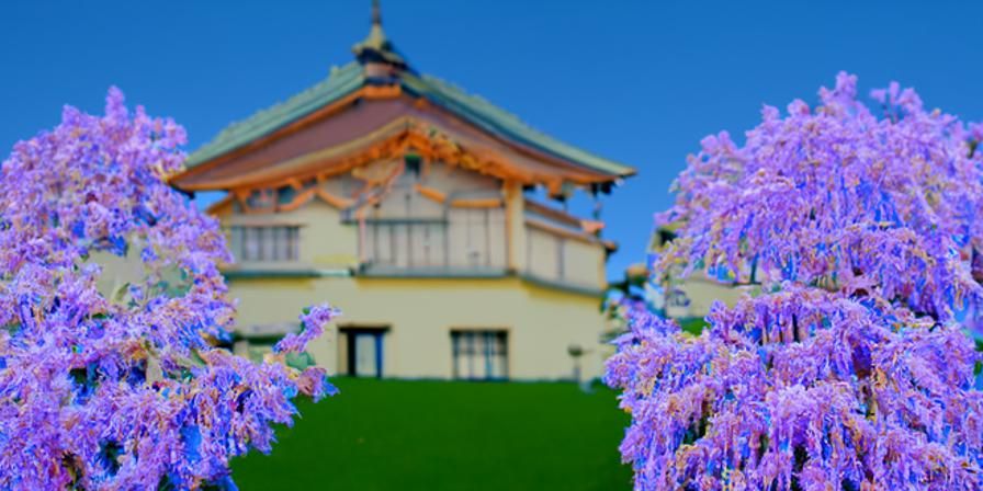 wisteria pagode