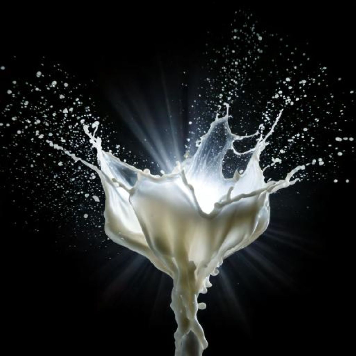 Goutte de lait