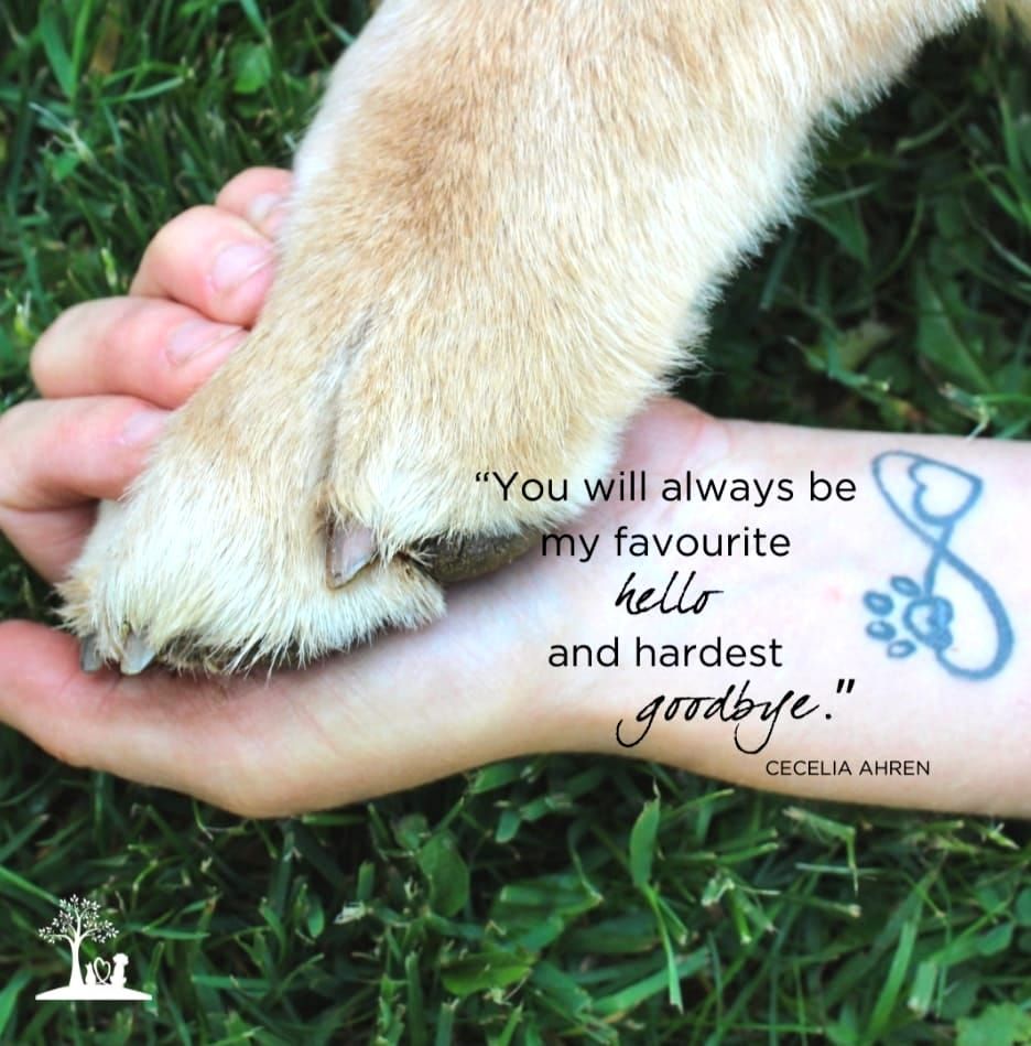 Ma Mimi tu seras toujours mon" BONJOUR" préféré et mon "AU REVOIR "le plus dur