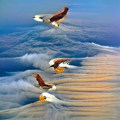 The Great Eagles.