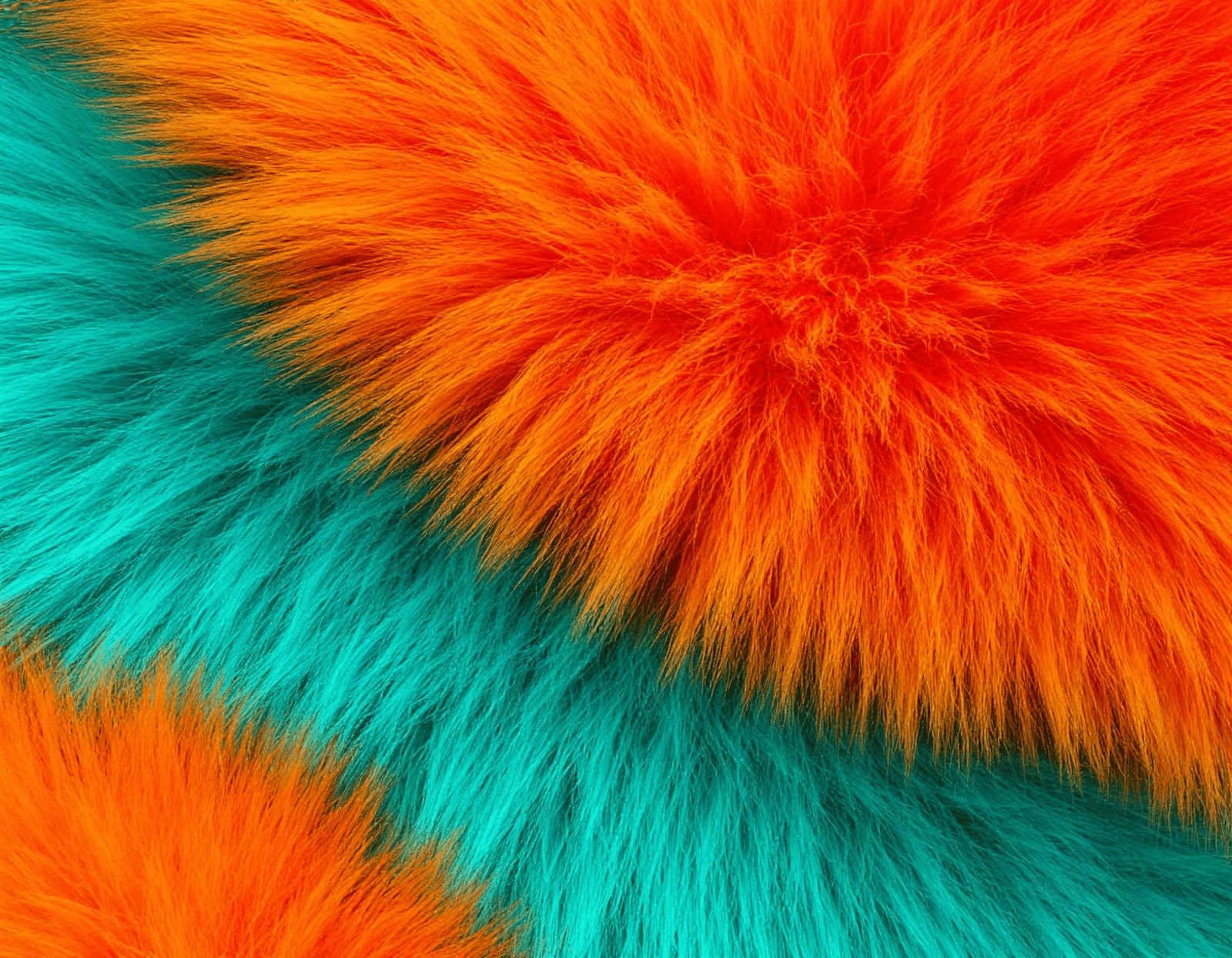 bright fur