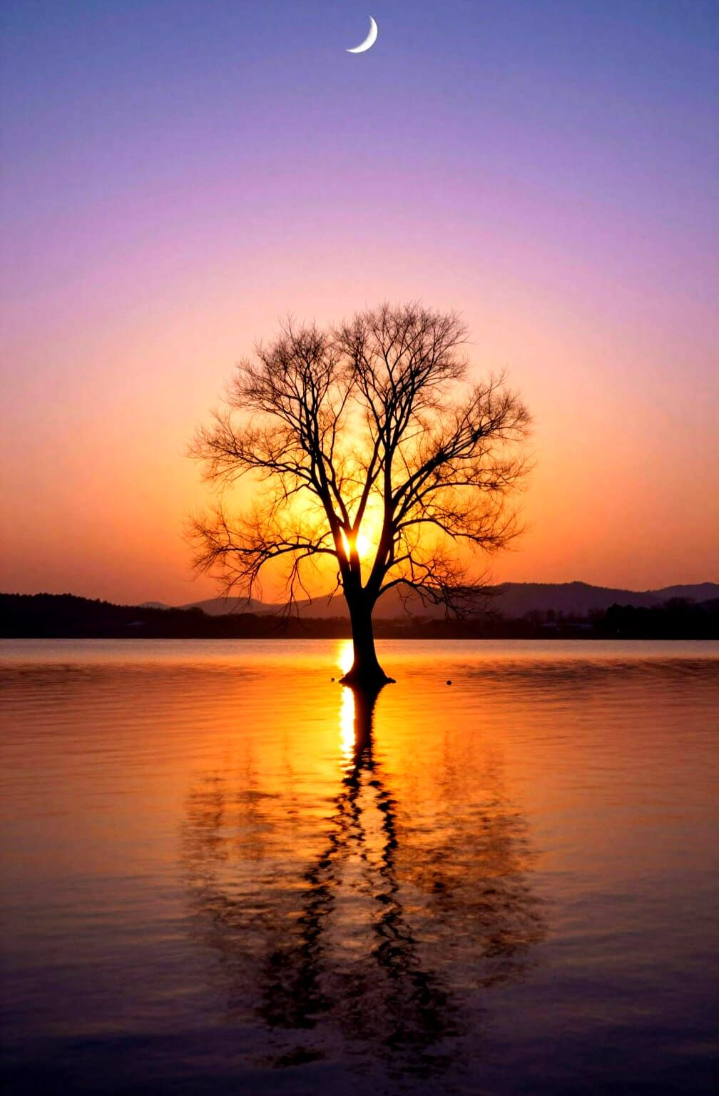 Still Waters   by @Mark_Loves_Coffee_