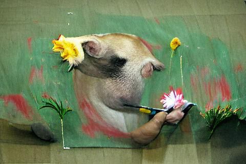 Squirrel becomes A pig painting a flower