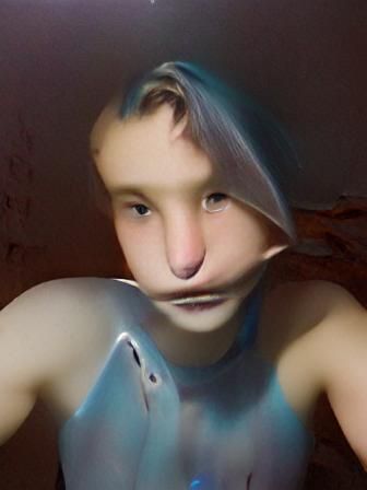 dolphin