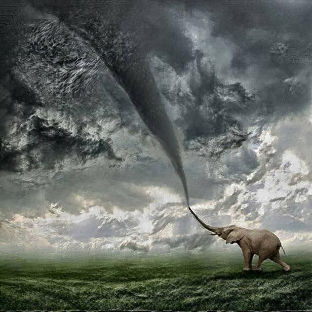Elephantornado