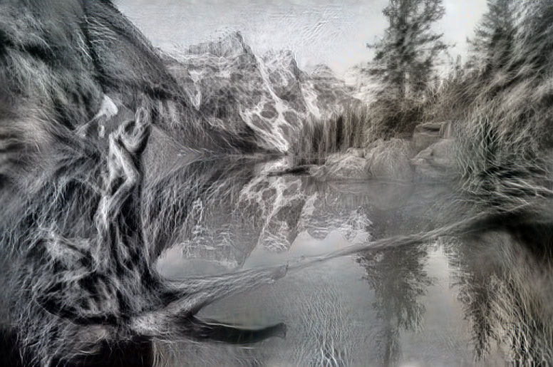 Lion in the mountains