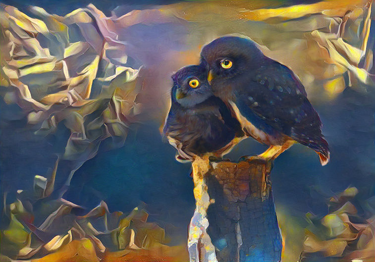 Couple Owls #10