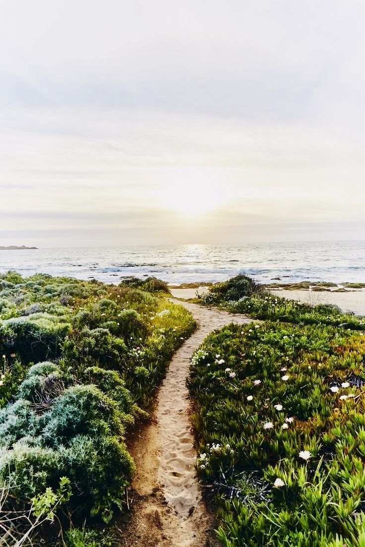 beach 

sandy beach in late summer or early autumn 

cool day on the beach 

beautiful beach 