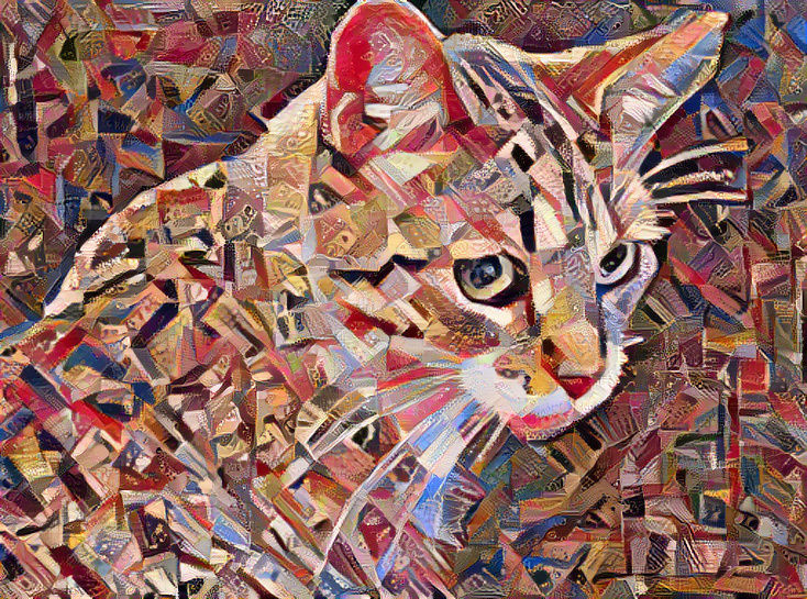 Cat Art