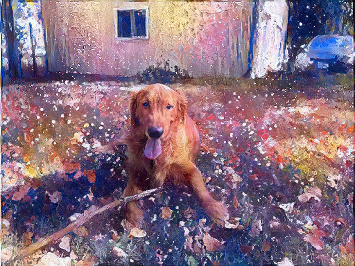 Doggo