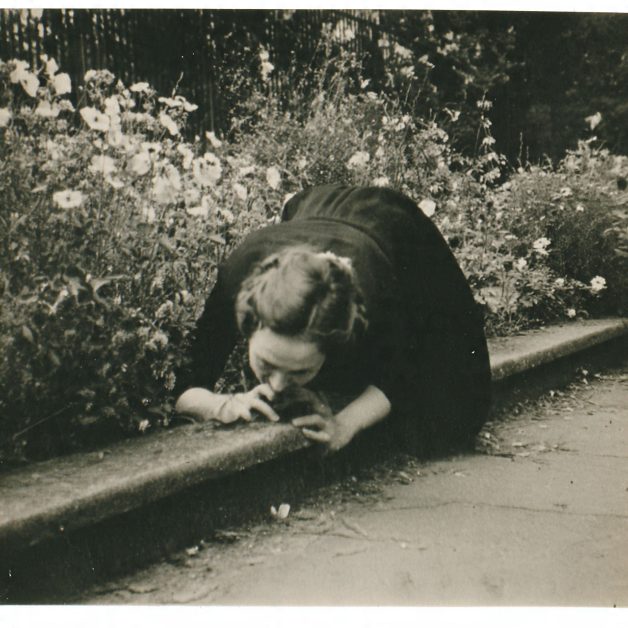 Hallucinogenic Flowers