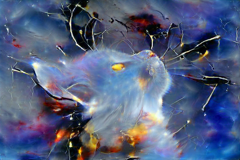 The cosmic Kitty