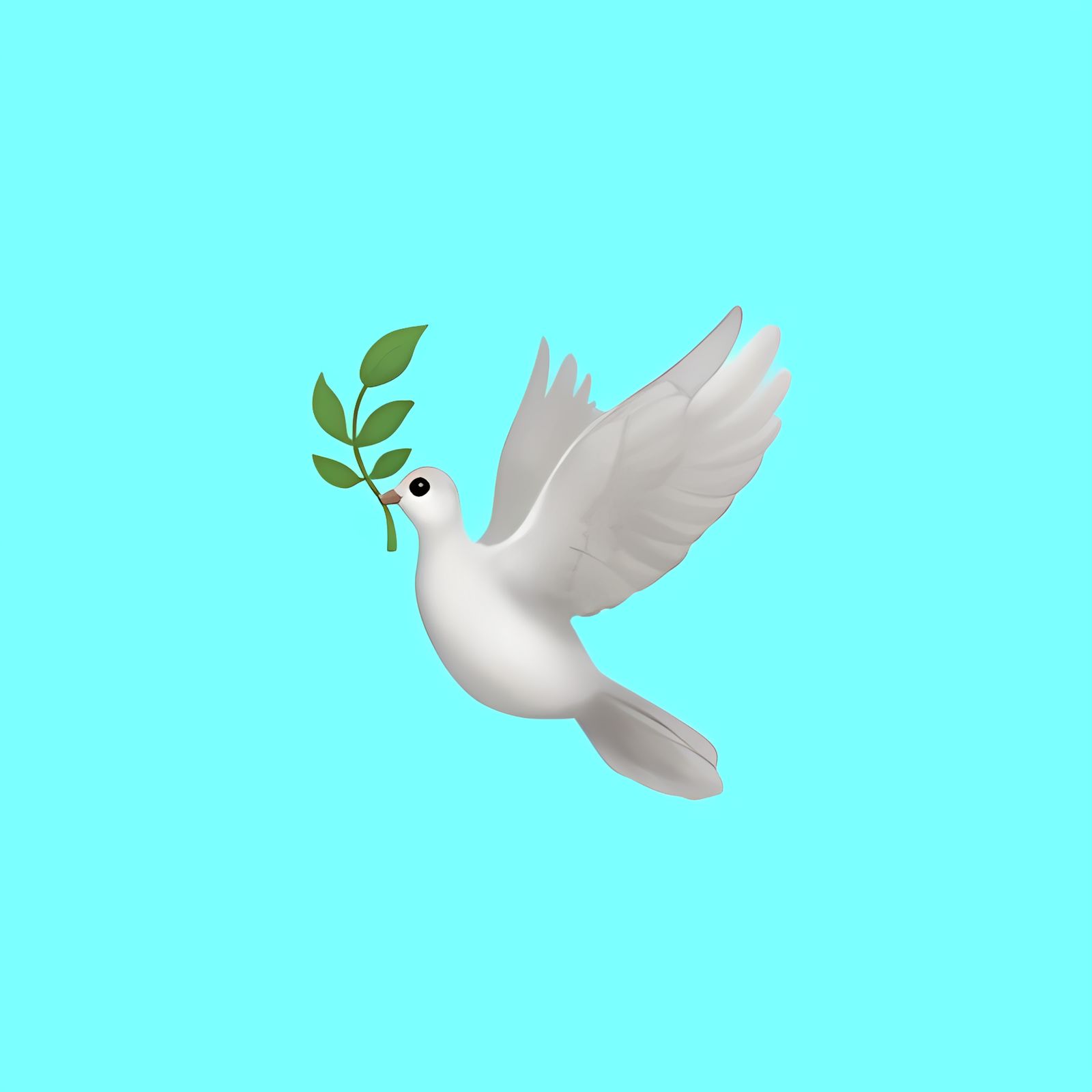 🕊️