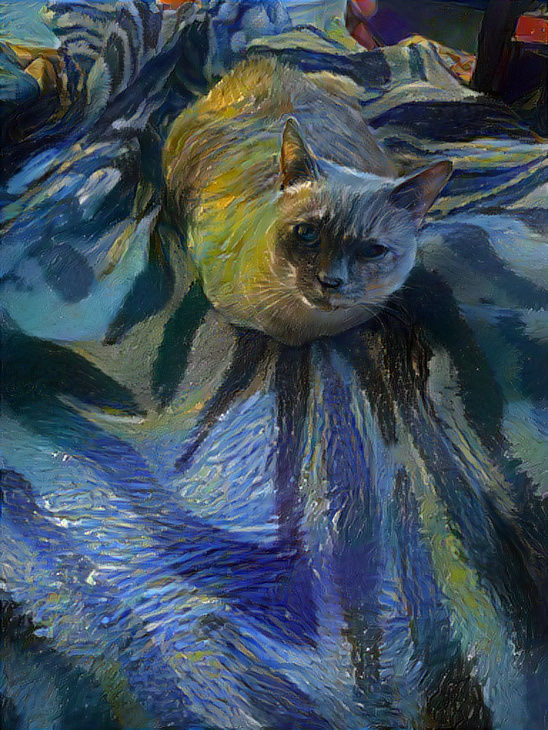 Blue cat