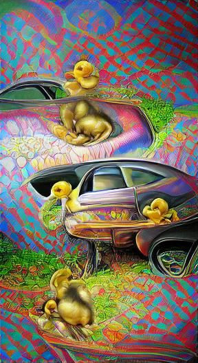 Duckling car inspection