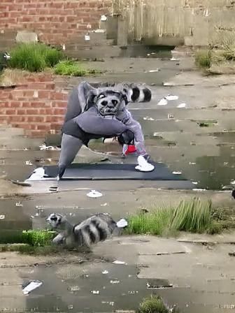 Breakdancing trash panda in a tracksuit