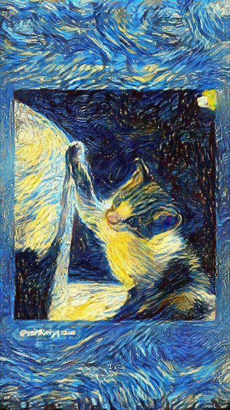 Kitty Van Gogh