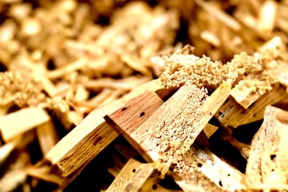 Sawdust