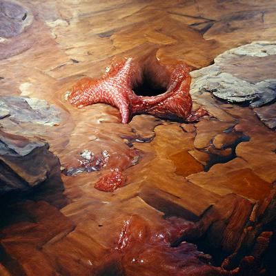 The Mystery Flesh Pit