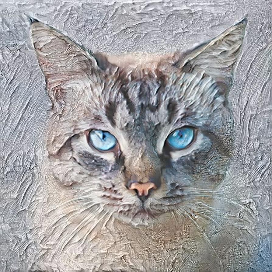 ice cat
