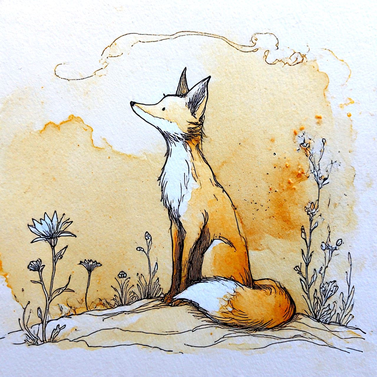 Fox