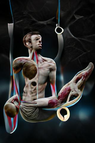Art of Plastination