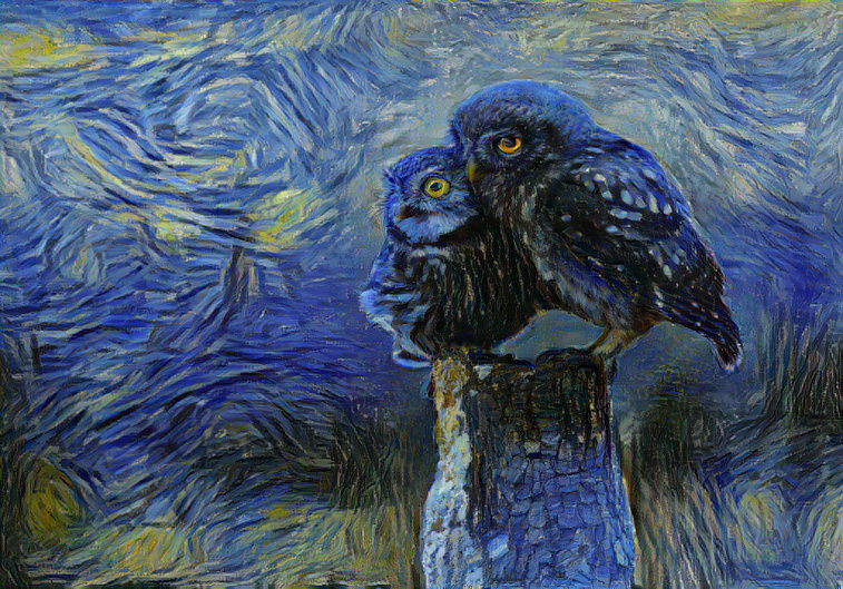 Couple Owls #14