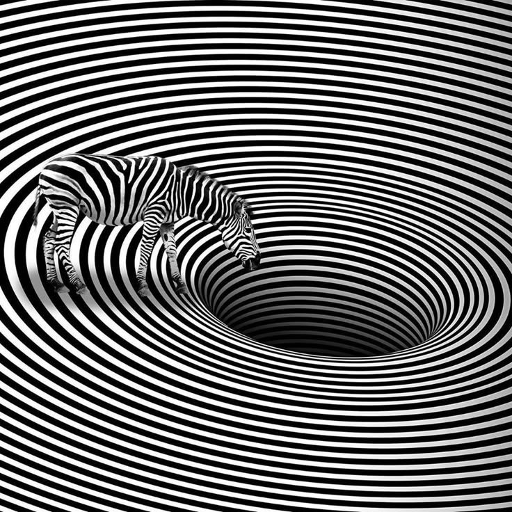 Zebra illusion  by @Voldemort
