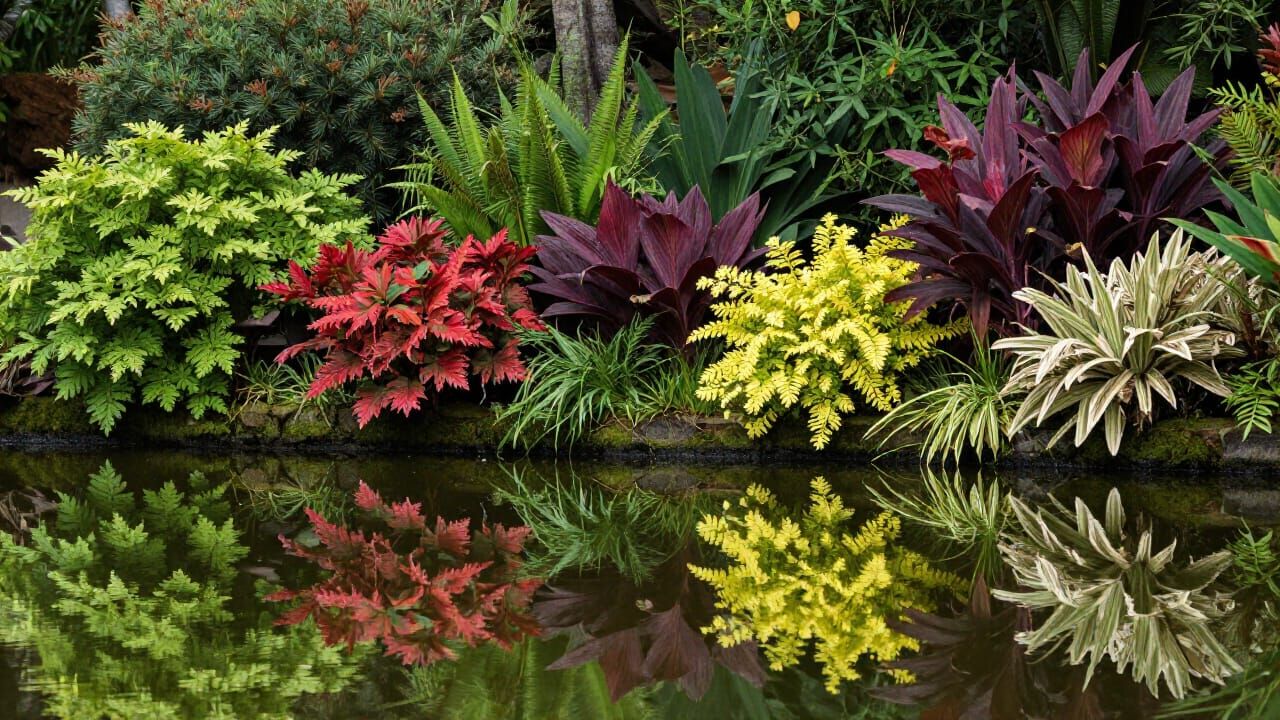 #StillNatureArt  by @Grinchly