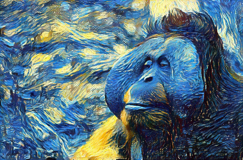 Starry Orangutans 