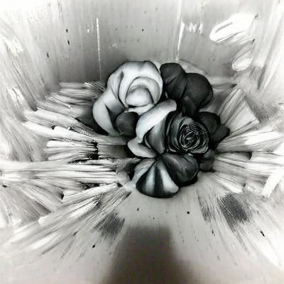 ColorlessRose
