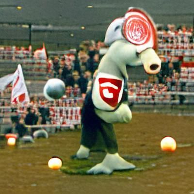 Aufstieg Fortuna Düsseldorf