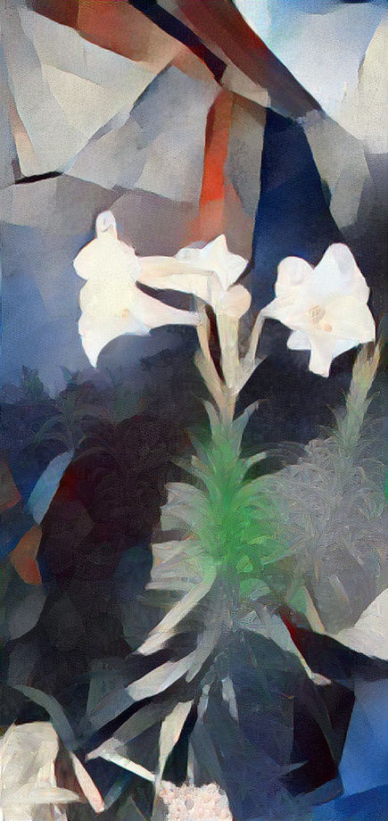 Easter Lillies