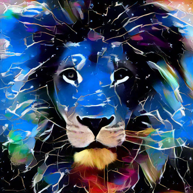 Beauty and Bold