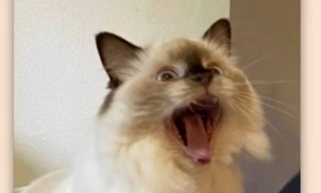 AI Interpretation of Anxiety