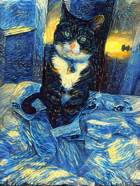 My mum's cat Digby test 7