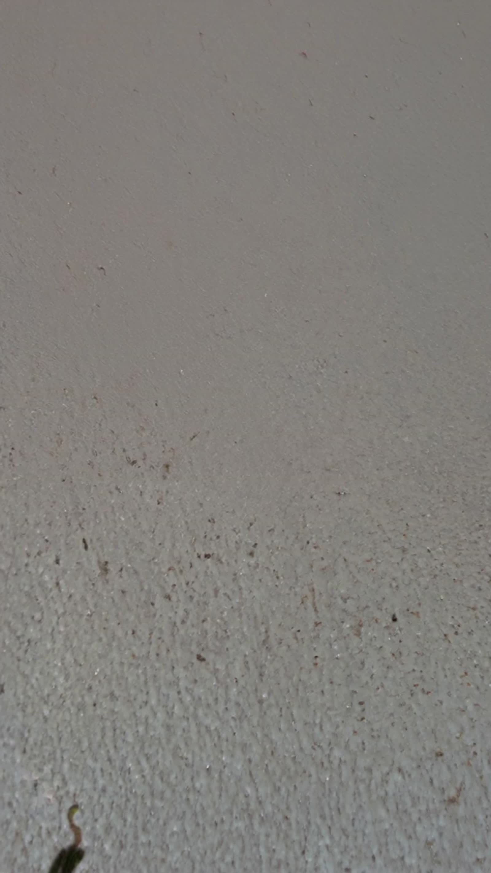 Femdom experiment on subject