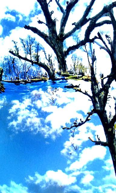 Spring River Trees Blue Sky
