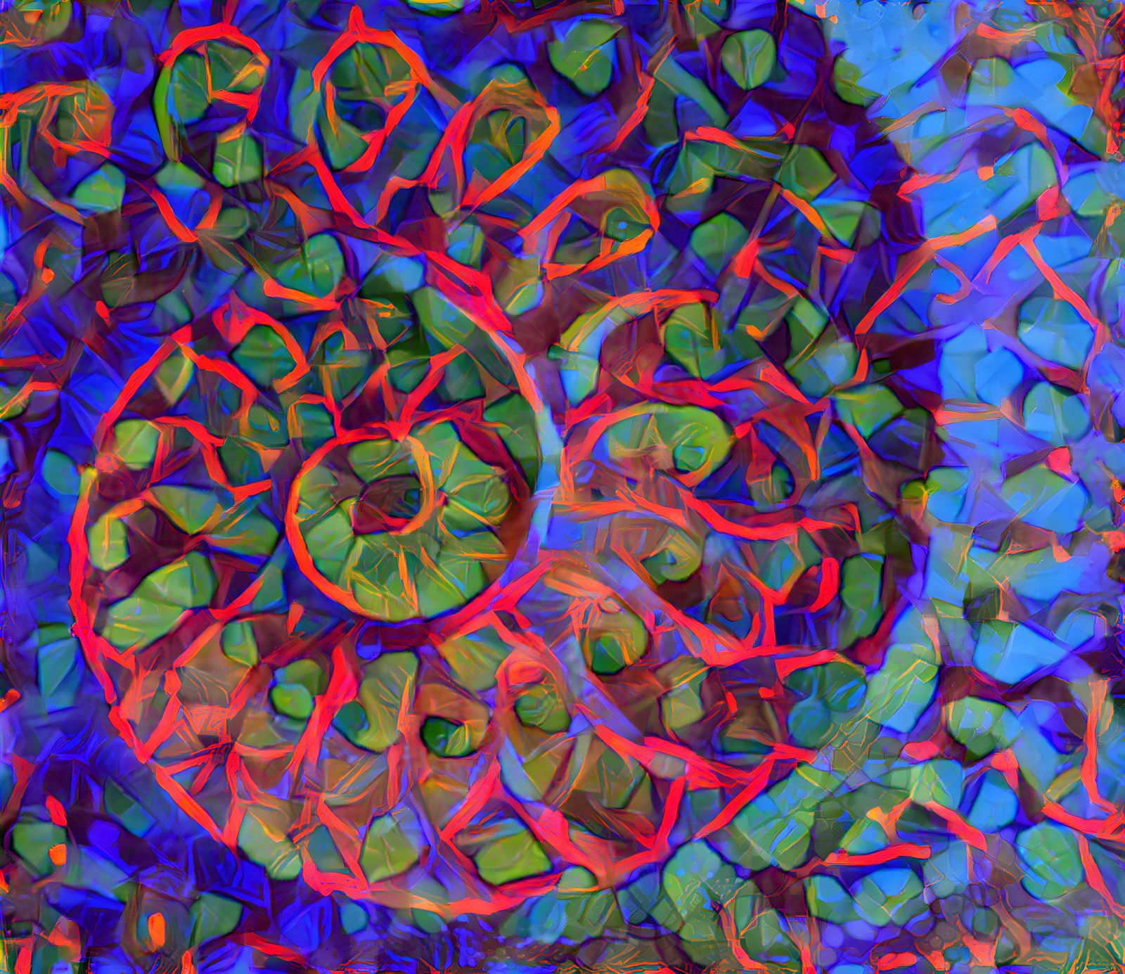 Shell Illusion