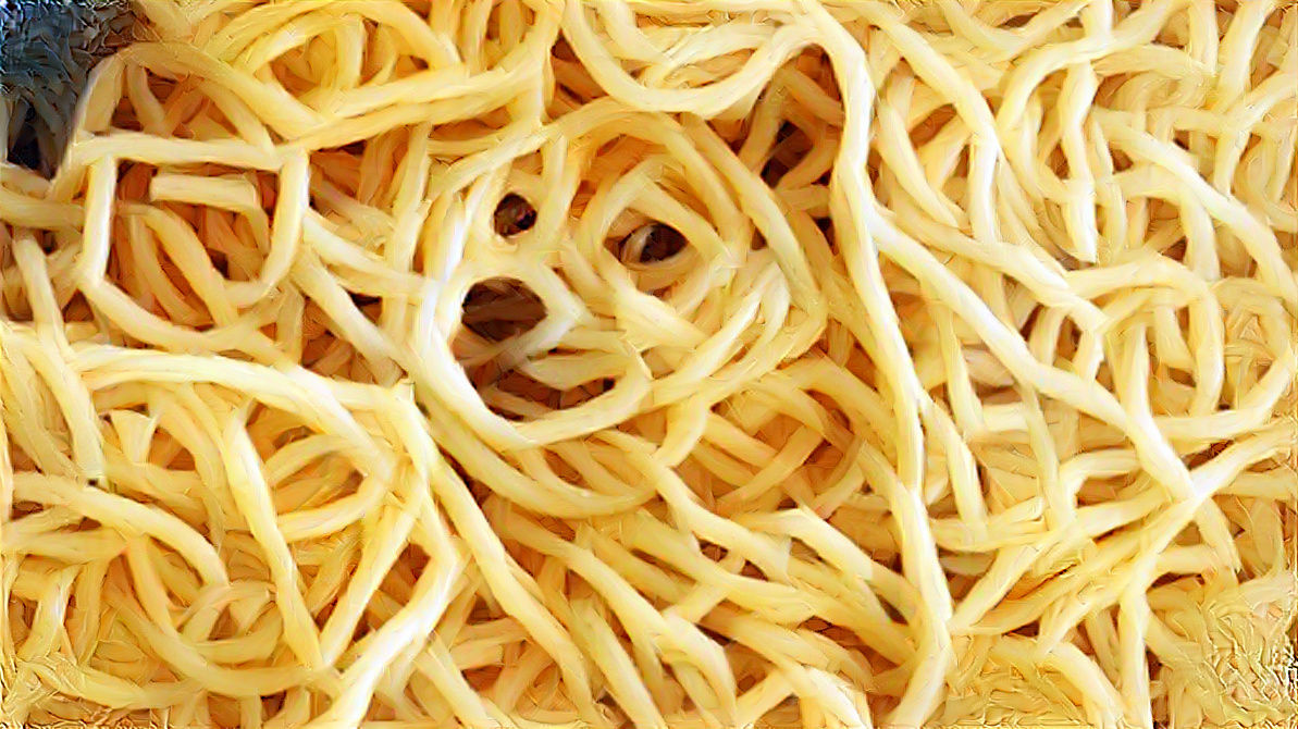 spaghetti