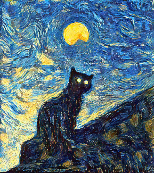 Starry cat